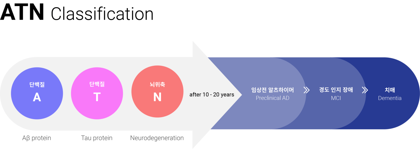 atn_classification