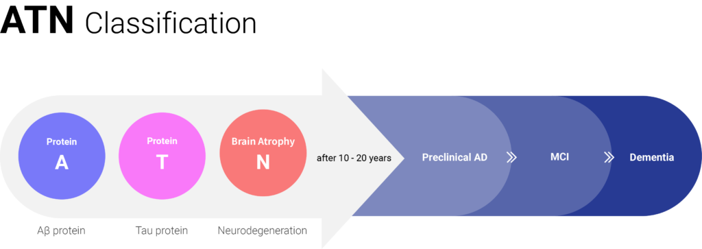 atn_classification_en